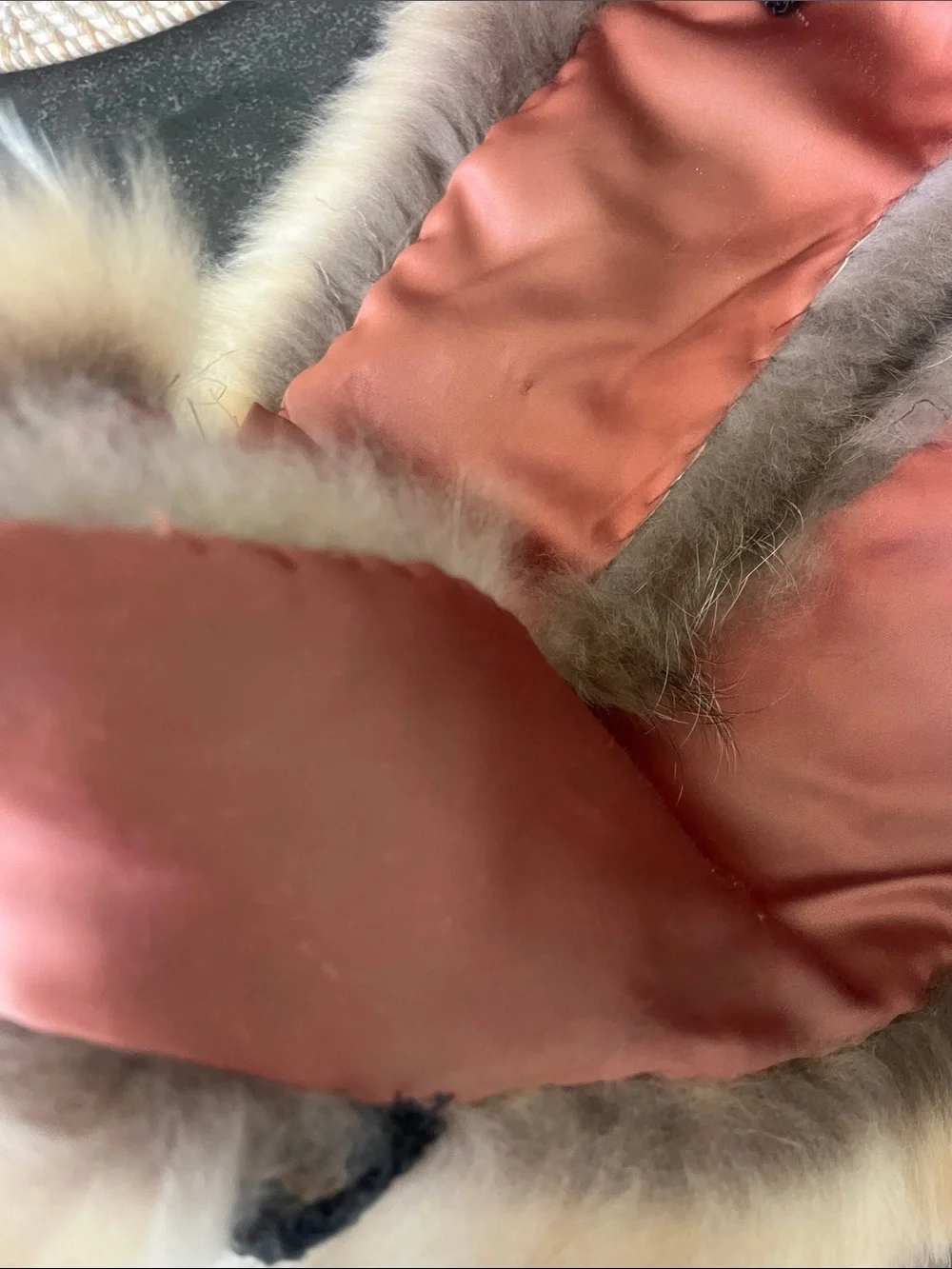 Stunning Real fur Finn raccoon fur collar tan with touches of black